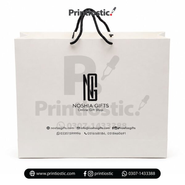 Branded paper bag for corporate gifting