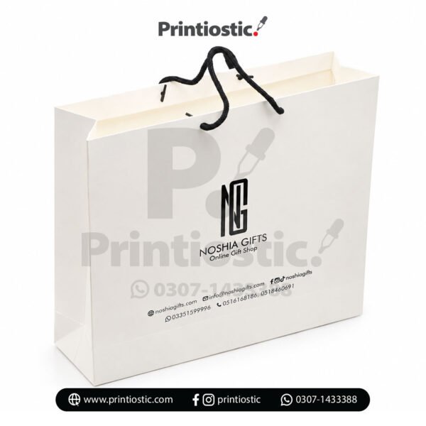 Corporate paper bag with company logo Pakistan